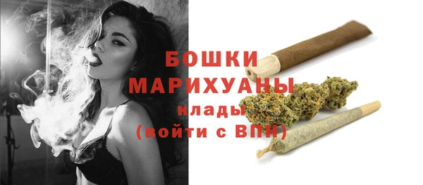 бутират Белокуриха