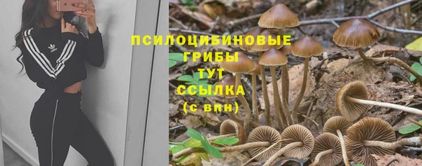 бутират Белокуриха