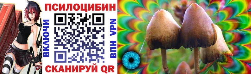 Псилоцибиновые грибы Cubensis  наркота  Щигры 